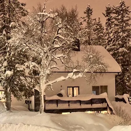 Northern Nights